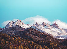 九游体育官网首页：一站式掌握游戏世界的起点